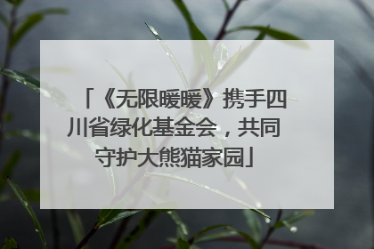 《无限暖暖》携手四川省绿化基金会，共同守护大熊猫家园