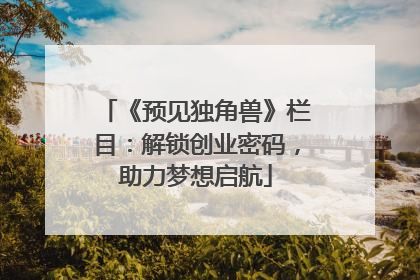 《预见独角兽》栏目：解锁创业密码，助力梦想启航