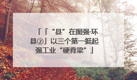「“县”在图强·环县②」以三个第一挺起强工业“硬脊梁”