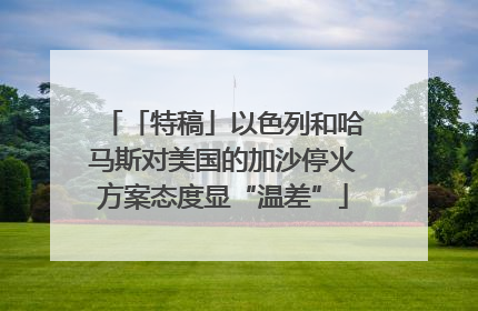 「特稿」以色列和哈马斯对美国的加沙停火方案态度显“温差”