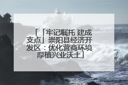 「牢记嘱托 建成支点」崇阳县经济开发区：优化营商环境 厚植兴业沃土