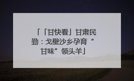 「甘快看」甘肃民勤：戈壁沙乡孕育“甘味”领头羊