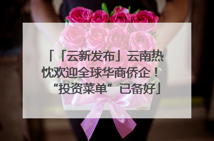 「云新发布」云南热忱欢迎全球华商侨企！“投资菜单”已备好