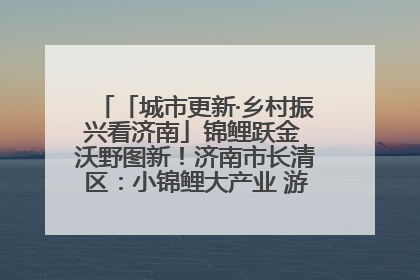 「城市更新·乡村振兴看济南」锦鲤跃金 沃野图新！济南市长清区：小锦鲤大产业 游出农旅新风景