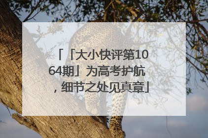 「大小快评第1064期」为高考护航，细节之处见真章