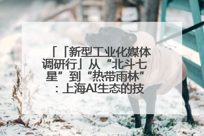 「新型工业化媒体调研行」从“北斗七星”到“热带雨林”：上海AI生态的技术商业共生密码