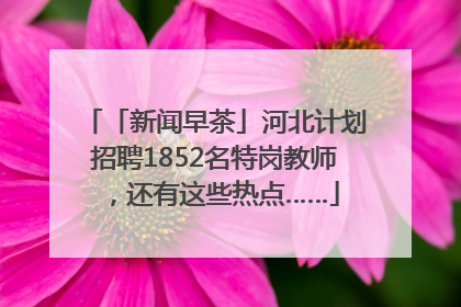 「新闻早茶」河北计划招聘1852名特岗教师，还有这些热点……