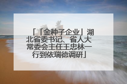 「金种子企业」湖北省委书记、省人大常委会主任王忠林一行到依瑞德调研