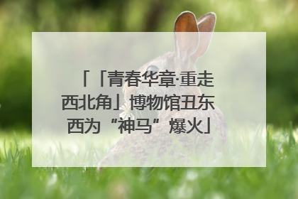 「青春华章·重走西北角」博物馆丑东西为“神马”爆火