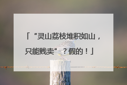 “灵山荔枝堆积如山，只能贱卖”？假的！