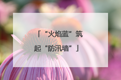 “火焰蓝”筑起“防汛墙”