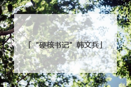 “硬核书记”韩文兵