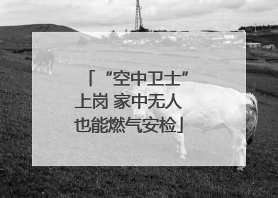 “空中卫士”上岗 家中无人也能燃气安检