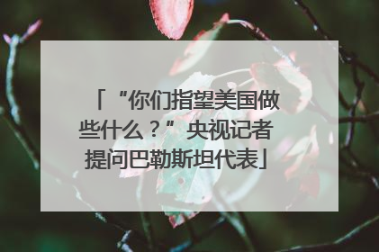 “你们指望美国做些什么？”央视记者提问巴勒斯坦代表