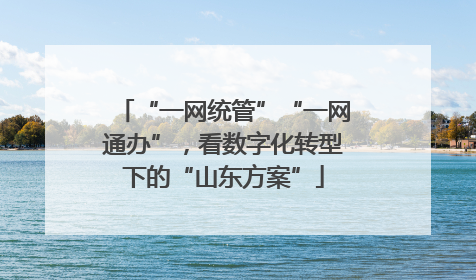 “一网统管”“一网通办”，看数字化转型下的“山东方案”