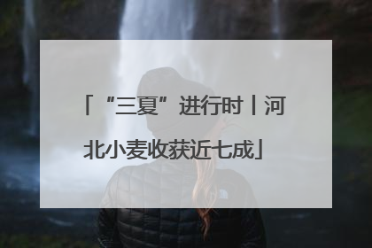 “三夏”进行时丨河北小麦收获近七成