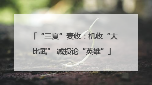 “三夏”麦收：机收“大比武” 减损论“英雄”