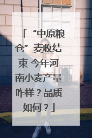 “中原粮仓”麦收结束 今年河南小麦产量咋样？品质如何？