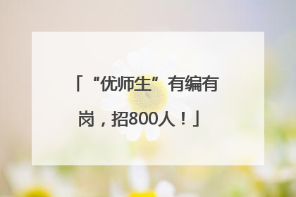 “优师生”有编有岗，招800人！