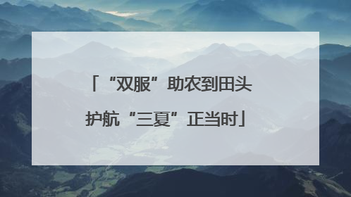 “双服”助农到田头 护航“三夏”正当时