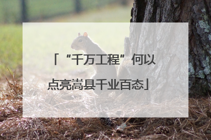 “千万工程”何以点亮嵩县千业百态