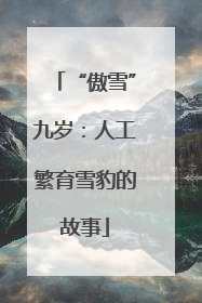 “傲雪”九岁：人工繁育雪豹的故事