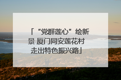 “党群莲心”绘新景 厦门同安莲花村走出特色振兴路