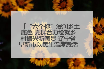 “六个你”浸润乡土底色 党群合力绘就乡村振兴新图景 辽宁省阜新市以民生温度激活乡村善治密码