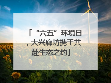 “六五”环境日，大兴廊坊携手共赴生态之约