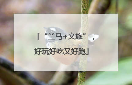 “兰马+文旅”，好玩好吃又好跑