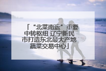 “北菜南运”重要中转枢纽 辽宁新民市打造东北最大产地蔬菜交易中心