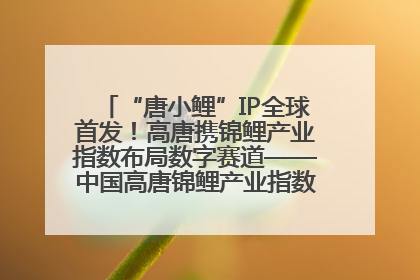 “唐小鲤”IP全球首发！高唐携锦鲤产业指数布局数字赛道——中国高唐锦鲤产业指数暨“唐小鲤”IP全球首发仪式在杭州举行
