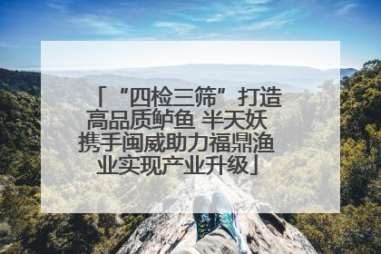 “四检三筛”打造高品质鲈鱼 半天妖携手闽威助力福鼎渔业实现产业升级