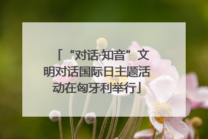 “对话·知音”文明对话国际日主题活动在匈牙利举行