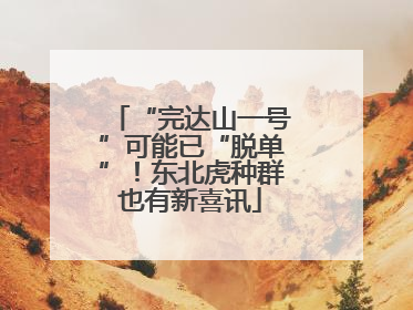 “完达山一号”可能已“脱单”！东北虎种群也有新喜讯