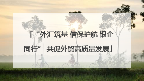 “外汇筑基 信保护航 银企同行” 共促外贸高质量发展
