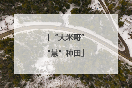 “大米哥”“慧”种田