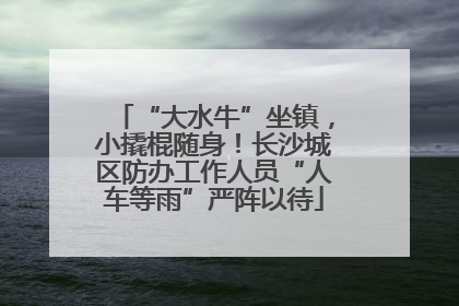 “大水牛”坐镇，小撬棍随身！长沙城区防办工作人员“人车等雨”严阵以待