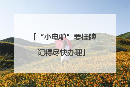 “小电驴”要挂牌 记得尽快办理