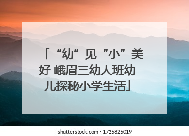 “幼”见“小”美好 峨眉三幼大班幼儿探秘小学生活