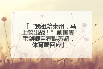 “我祖籍泰州，马上能出战！”前国脚毛剑卿自荐踢苏超，体育局回应