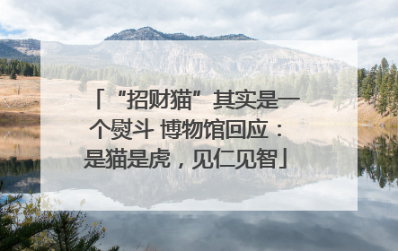 “招财猫”其实是一个熨斗 博物馆回应：是猫是虎，见仁见智
