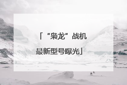 “枭龙”战机最新型号曝光