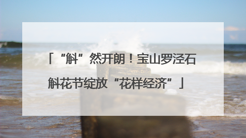 “斛”然开朗！宝山罗泾石斛花节绽放“花样经济”