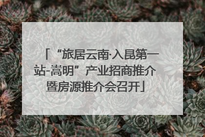 “旅居云南·入昆第一站-嵩明”产业招商推介暨房源推介会召开