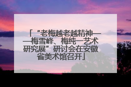 “老梅越老越精神——梅雪峰、梅纯一艺术研究展”研讨会在安徽省美术馆召开