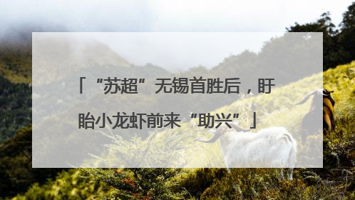 “苏超”无锡首胜后，盱眙小龙虾前来“助兴”