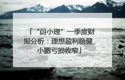 “蔚小理”一季度财报分析：理想盈利稳健 小鹏亏损收窄