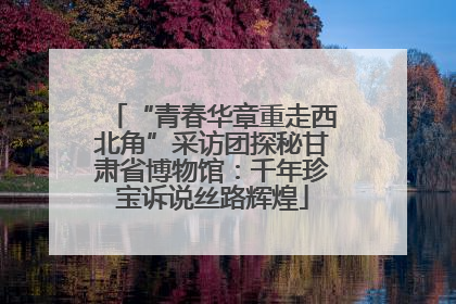 “青春华章重走西北角”采访团探秘甘肃省博物馆：千年珍宝诉说丝路辉煌