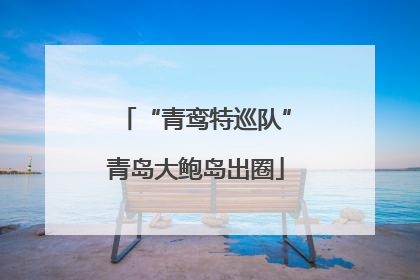“青鸾特巡队”青岛大鲍岛出圈